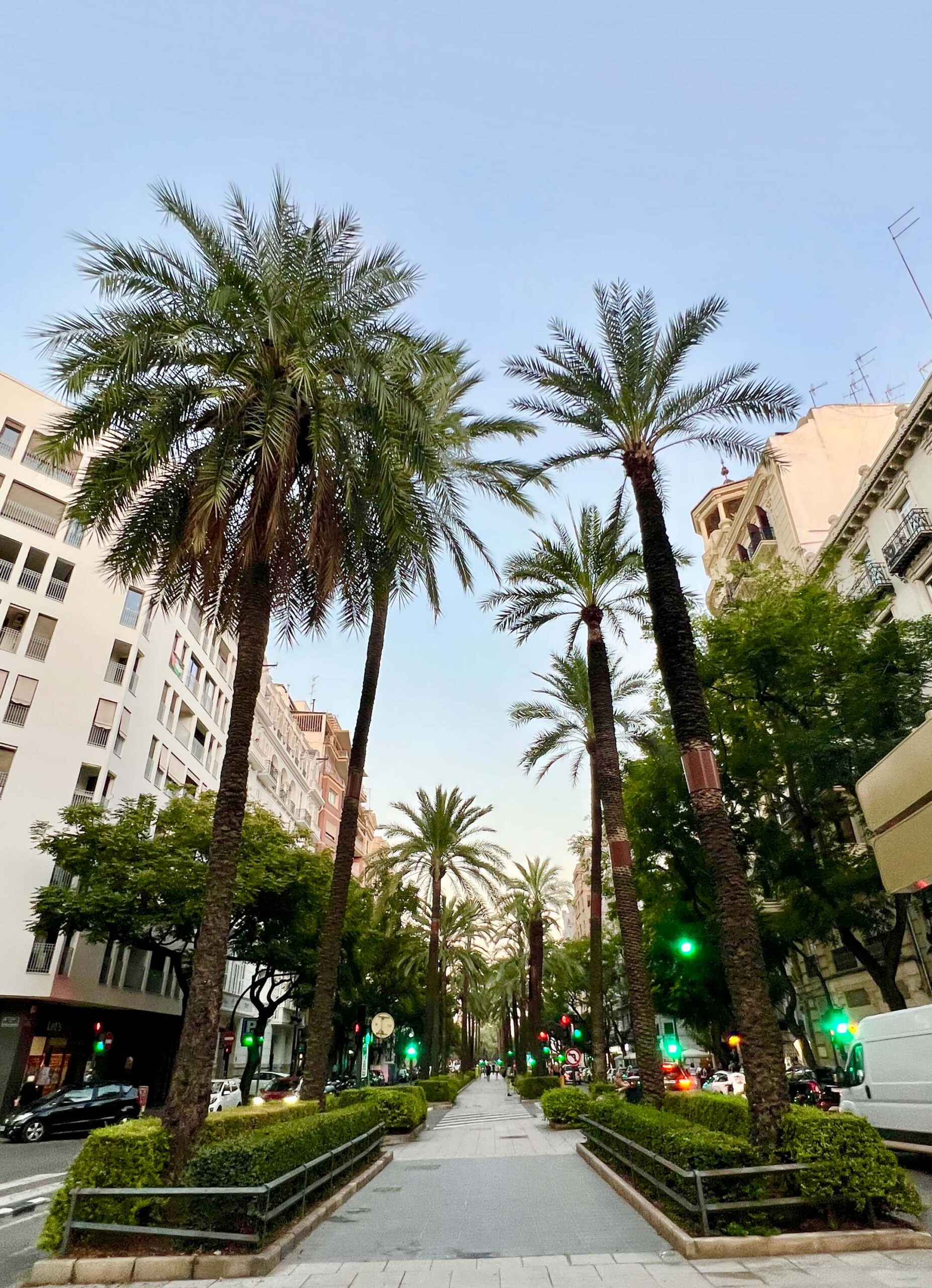 Integrative Gestalt Practice in Valencia